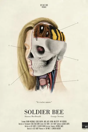 Постер к фильму Soldier Bee (2016)