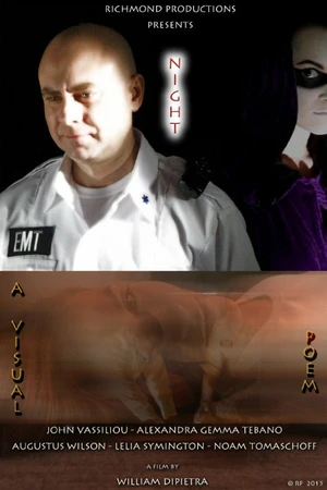 Постер к фильму Night - A Visual Poem (-)