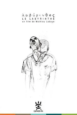 Постер к мультфильму Le labyrinthe (2013)