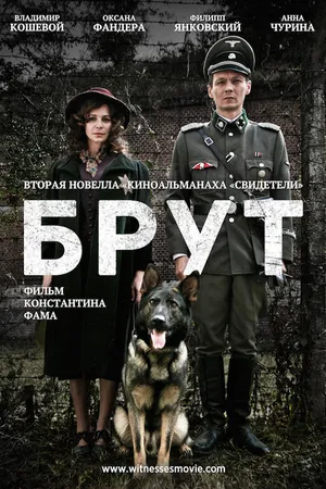 Постер к фильму Брут (2016)