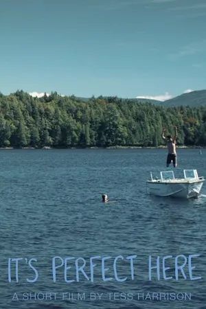 Постер к фильму It's Perfect Here (2015)