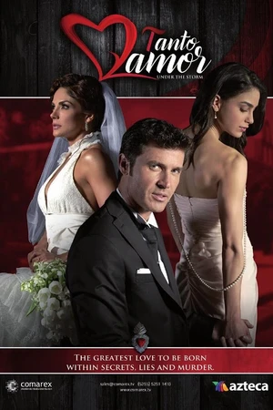 Постер к сериалу Столько любви (2015 - 2016)