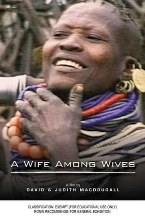 Постер к фильму A Wife Among Wives (1981)