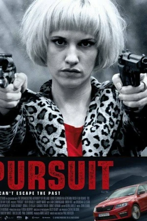 Постер к фильму Преследование (2015)