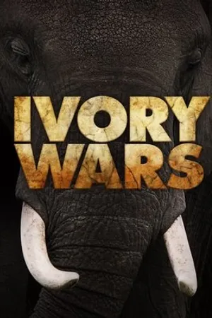 Постер к сериалу Войны за слоновую кость (2013)