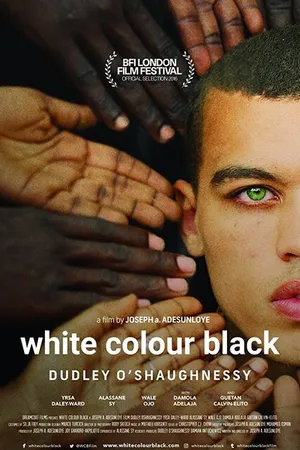 Постер к фильму White Colour Black (2016)