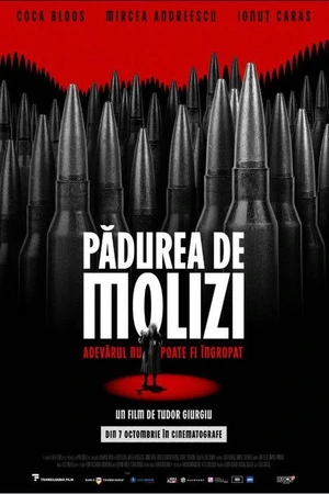 Постер к фильму Pădurea de molizi (2025)