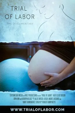 Постер к фильму Trial of Labor (2015)
