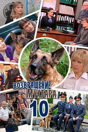 Постер к сериалу Возвращение Мухтара 10 (2015)
