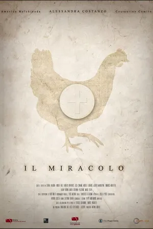 Постер к фильму Il miracolo (2015)