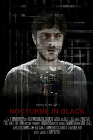 Постер к фильму Ноктюрн в черном (2016)