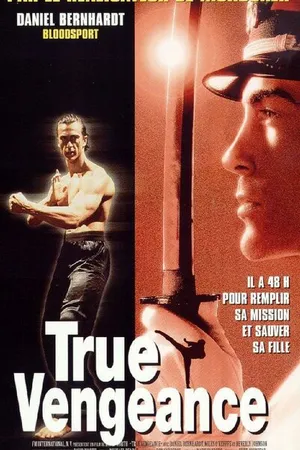 Постер к фильму Один против якудза (1997)