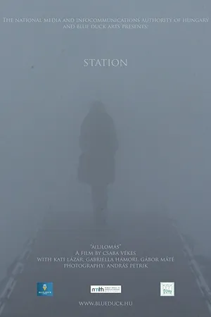 Постер к фильму Station (2014)