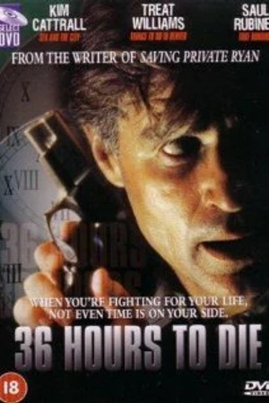 Постер к фильму 36 часов (1999)
