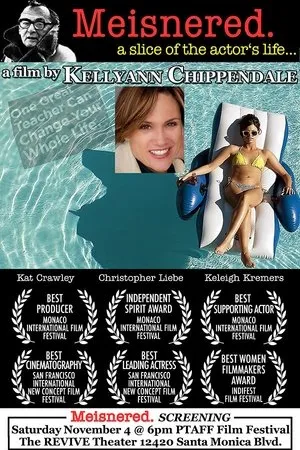 Постер к фильму Getting Meisnered (2015)
