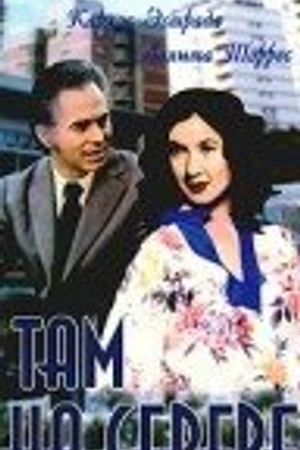 Постер к фильму Там на Севере (1973)