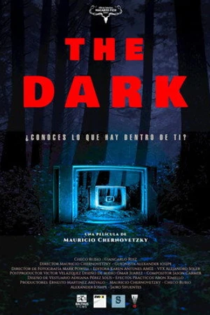 Постер к фильму The Dark (2015)