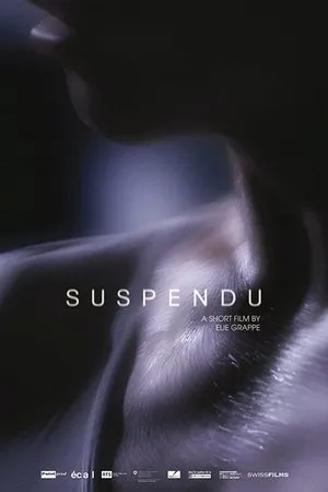 Постер к фильму Suspendu (2015)