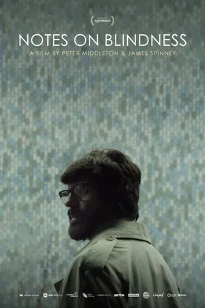 Постер к фильму Записки о слепоте (2016)