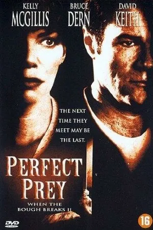 Постер к фильму Идеальная жертва (1998)