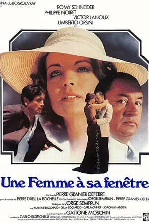 Постер к фильму Женщина в окне (1976)