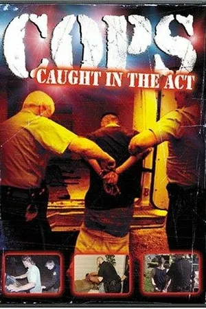 Постер к сериалу Полицейские (1989 - 2020)