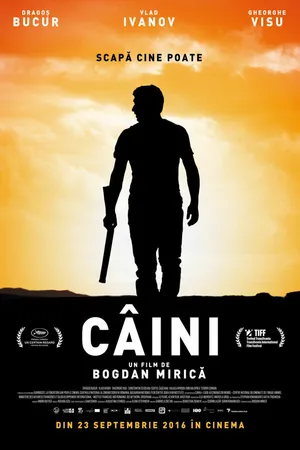 Постер к фильму Собаки (2016)