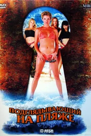 Постер к фильму Подглядывающий на пляже (2002)