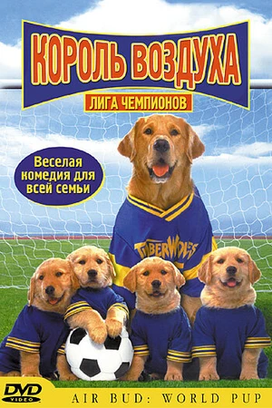Постер к фильму Король воздуха: Лига чемпионов (2000)