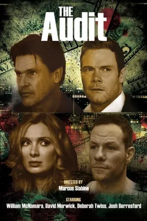 Постер к фильму The Audit (2017)