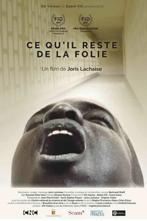 Постер к фильму Ce qu'il reste de la folie (2014)