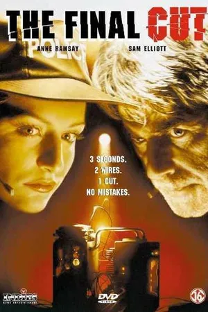 Постер к фильму Последний провод (1995)