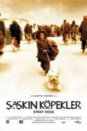 Постер к фильму Бродячие собаки (2004)