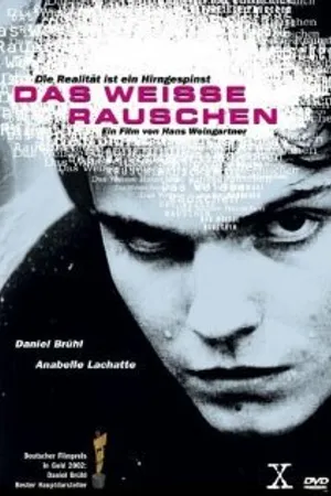 Постер к фильму Белый шум (2001)
