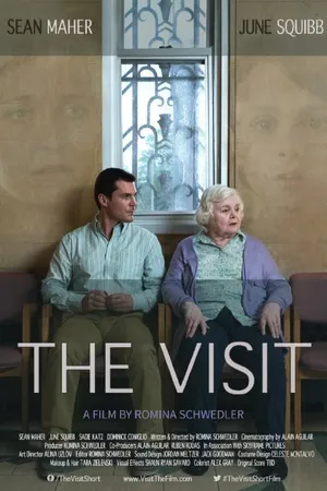 Постер к фильму The Visit (2016)