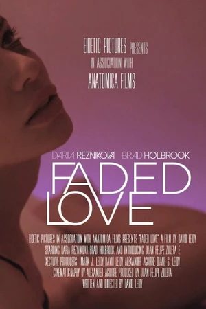Постер к фильму Faded Love (2015)