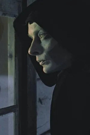 Постер к фильму Гость (1979)