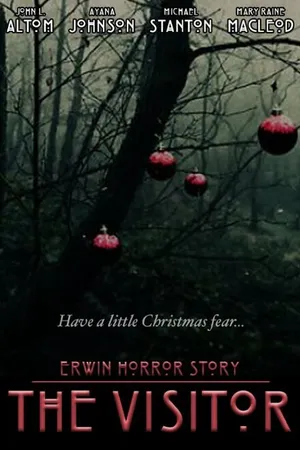 Постер к фильму Erwin Horror Story: The Visitor (2015)