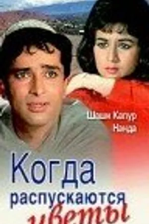 Постер к фильму Когда распускаются цветы (1965)