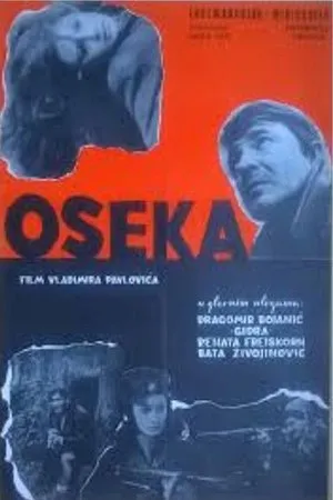 Постер к фильму Прерванная свадьба (1969)
