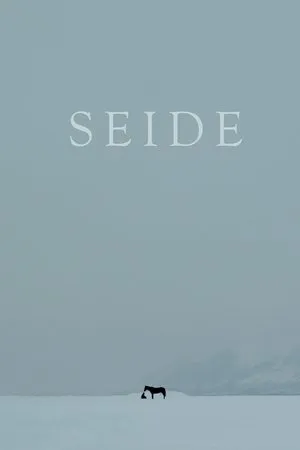 Постер к фильму Seide (2015)