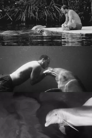 Постер к фильму Dolfun (2016)