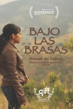Постер к фильму Bajo las brasas (2015)