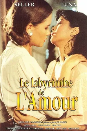 Постер к фильму Лабиринт любви (1994)