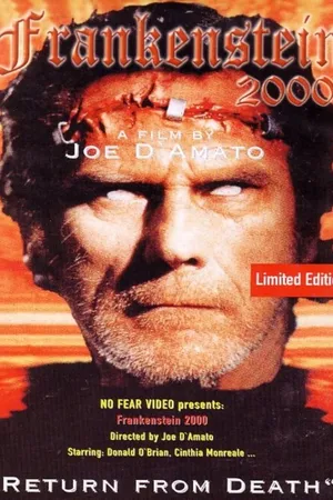 Постер к фильму Франкенштейн 2000 (1991)