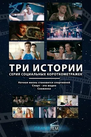 Постер к фильму Снежинка (2014)