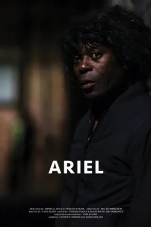 Постер к фильму Ariel (2016)