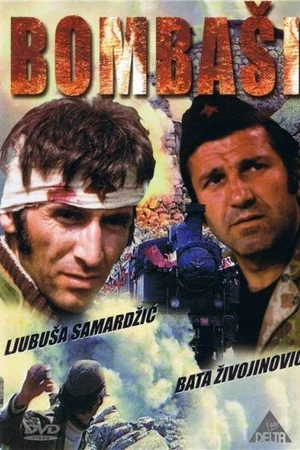 Постер к фильму Отважные (1973)
