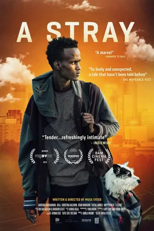Постер к фильму A Stray (2016)