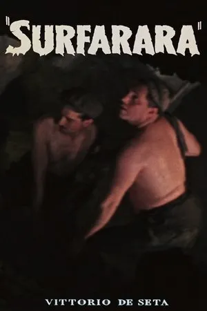 Постер к фильму Surfarara (1955)